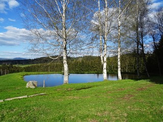 see im bayerischen wald