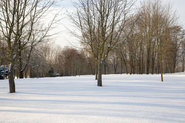 Obraz premium landscape in frosty weather