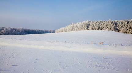 Fototapeta na wymiar winter landscape in a field