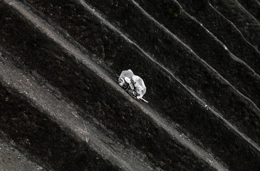 Müll auf einer Treppe
