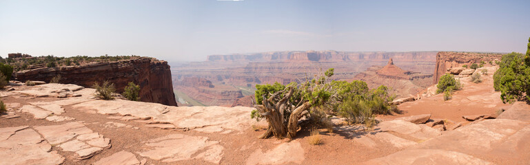 landscape in canyonlands National park in the united states of america