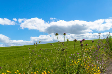 Beautiful Sicilian Landscape, Mazzarino, Caltanissetta, Sicily, Italy, Europe