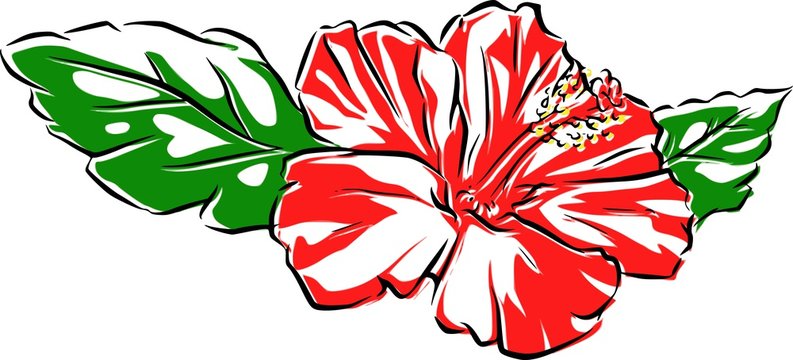 ハイビスカス 夏 花 Cartoon イラスト シンプル 南国 素材 Stock Illustration Adobe Stock