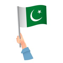 Pakistan flag in hand icon