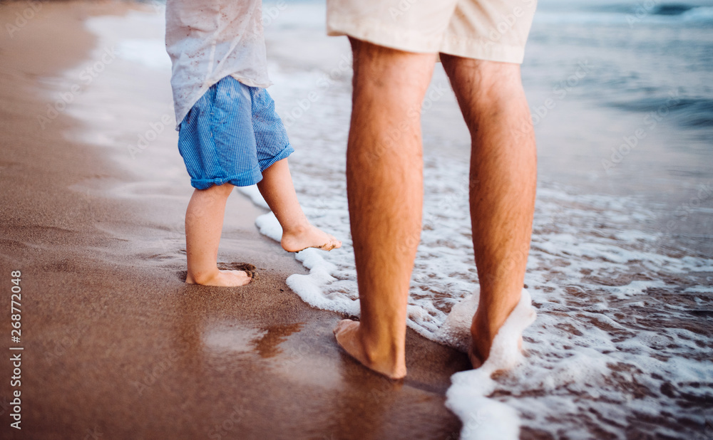 Wall mural Midsection of father with a toddler boy walking on beach on summer holiday.