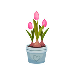 Three pink tulips grow in a blue pot. Vector image on white background.