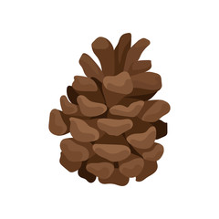 Open fir-cone on a white background. Vector vertical illustration.