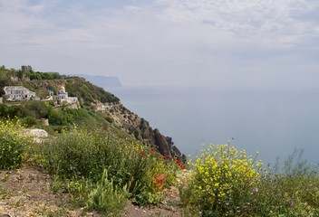 Fototapeta na wymiar mindfulness view in Crimea, poppy flowers in foreground