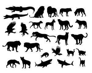 Carnivora Animal Silhouettes, art vector design