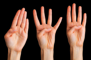 Set of woman hands showing four fingers and palm