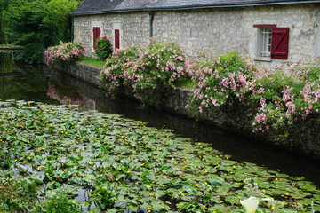 Fototapeta na wymiar old stone house by the stream with bushes of pink flowers and lily pads