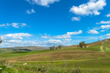Fototapeta na wymiar Green Sicilian Hills, Caltanissetta, Italy, Europe
