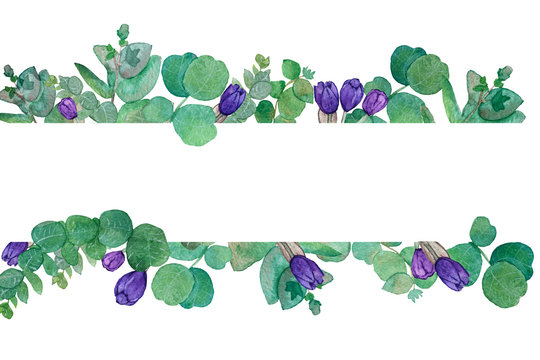 Watercolor banner with eucalyptus leaves and purple tulip flowers. Illustration for wedding invitation, save the date or greeting design. Spring or summer flowers with space for your text.