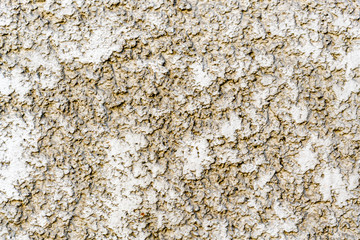 Naklejka premium Old cement surface texture background close up
