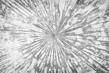 Texture palm leaves printed seamless line patterns on  concrete floor top view background 