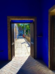 bleu