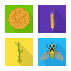 Vector design of wheat and corn symbol. Collection of wheat and harvest vector icon for stock.