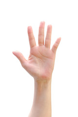 Hand isolated female woman human open palm raising up on white background expressing vote, volunteering