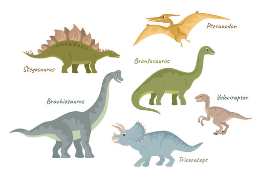 Collection of cute flat dinosaurs. Jurassic period creatures. Vector illustration isolated on white.  Stegosaurus, Pteranodon, Brontosaurus, Velociraptor, Brachiosaurus, Triceratops