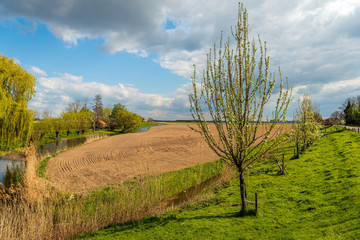 Obraz premium Picturesque rural landscape in springtime