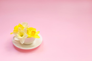 Fototapeta na wymiar Beautiful fresh Narcissus in a cup on a pink background. Yellow flowers in a cup. Spring floral background.