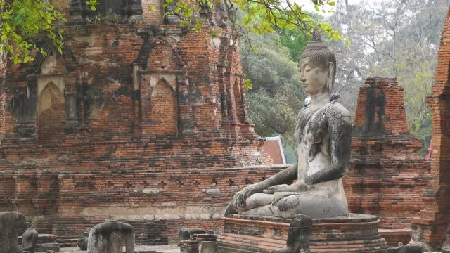 Buddha image Statues at Wat Mahathat temple, Ayutthaya, Thailand, Zoom out.