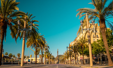 Fototapeta na wymiar Passeig de Colom street and The Columbus monument (or The Colon) in Barcelona, Spain with amazing palms and clear blue sky.