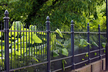 Gartenzaun aus Eisen in schwarz