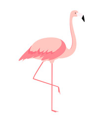 Colorful cartoon pink flamingo on one leg stands on white background. Vector Illustration