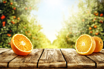 Fresh orange fruits on desk and summer landscape of orange garden with sun light. 