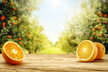 Fresh orange fruits on desk and summer landscape of orange garden with sun light. 