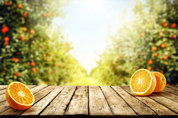 Fresh orange fruits on desk and summer landscape of orange garden with sun light. 