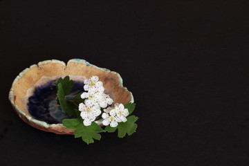 Twig of elderberry with white flowers on stylized ceramic saucer decorated with glaze (ocean...