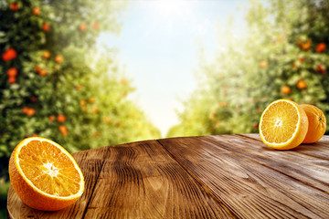 Fresh orange fruits on desk and summer landscape of orange garden with sun light. 
