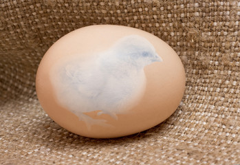 Small chicken in the middle of the egg, which lies on the sackcloth_