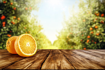 Fresh orange fruits on desk and summer landscape of orange garden with sun light. 
