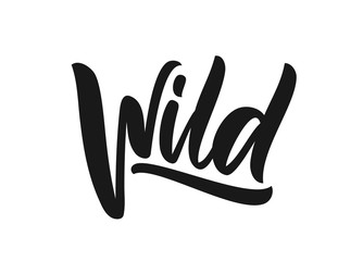 Handwritten type calligraphic lettering of Wild on white background
