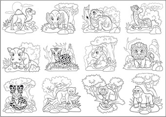 Obraz premium cute african animals set of funny images