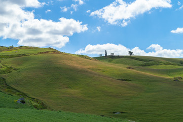 Fototapeta premium Green Sicilian Hills, Caltanissetta, Italy, Europe