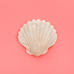 Closed white scallop seashell on coral background