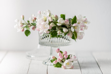 flowering branch of apple in a vase on a white wooden background