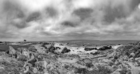 scenic beach landscape with rocks at Pebble Beach, California