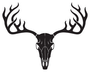 vector deer skull with horns