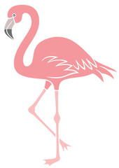 flamingo bird vector icon