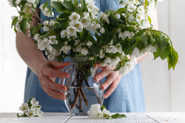 Bouquet of spring flowers in the hands of a girl on a background of blue dress. Blooming apple tree in spring