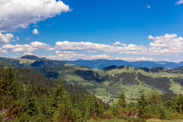 Fototapeta premium landscape of a Carpathians mountains with fir-trees and sky