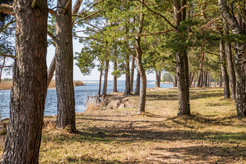 Baltic sea coast. Sunny summer day. Latvia. River called Gauja