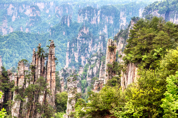 Fototapeta premium Zhangjiajie National Forest Park. Gigantic quartz pillar mountains rising from the canyon during summer sunny day. Hunan, China.