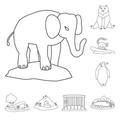 Vector design of entertainment and forest icon. Collection of entertainment and park vector icon for stock.