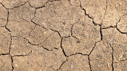dry cracked earth background